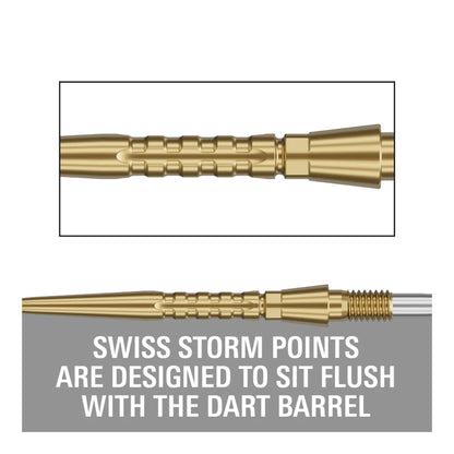 Target Swiss Storm Surge Points | Enhanced Grip Replacement Dart Point
