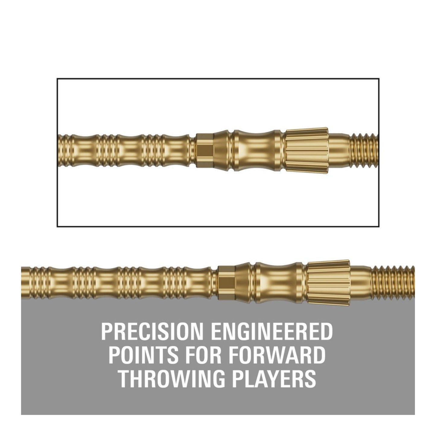 Target Darts Signature Swiss TRB Point