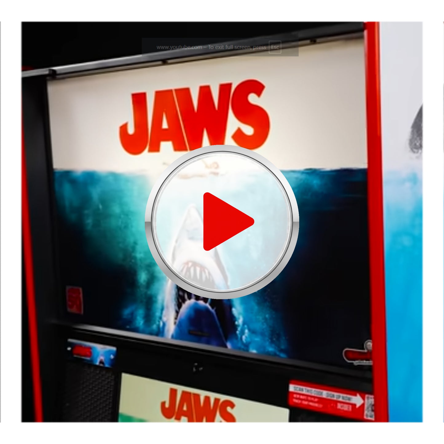 YOUTUBE-VIDEO:evJlg5M6vXM