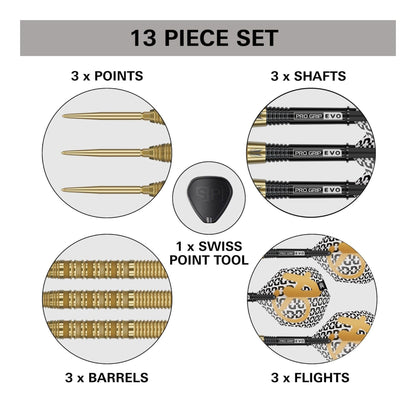 13-piece dart set with points, shafts, barrels, flights, and Swiss point tool on a white background.
