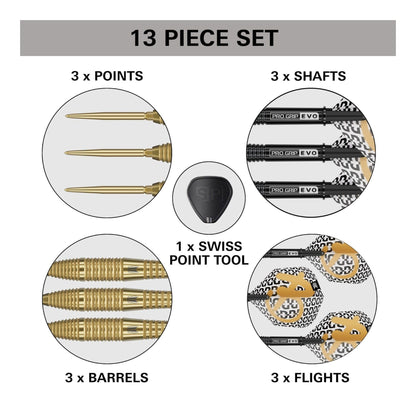 13-piece dart set with points, shafts, barrels, flights, and a Swiss point tool on a white background.