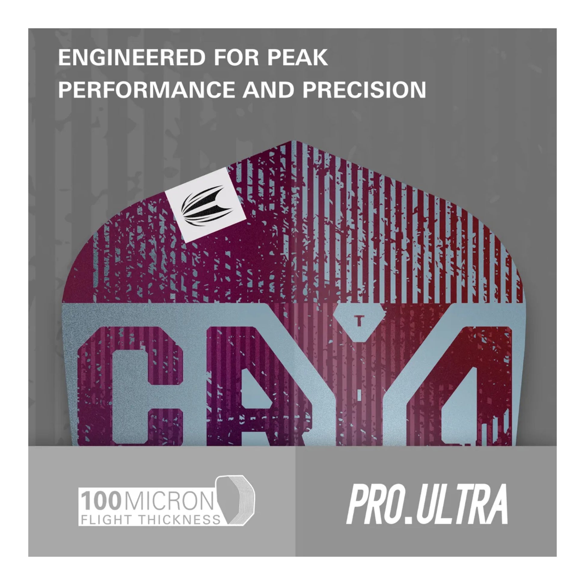 Close up of Target Cryo logo on blue and claret dart flight