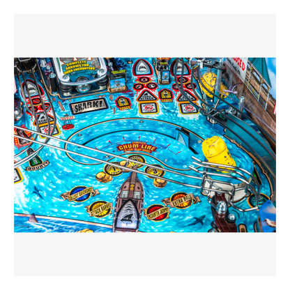 Close-up of a pinball machine with shark-themed design