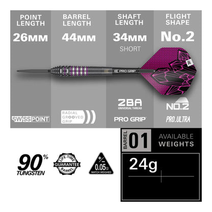Lorraine Winstanley G2 darts specifications on a gray background