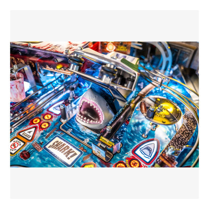 Close-up of a pinball machine with a shark figure and 'Shark!' text.
