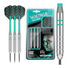 Target Rob Cross Voltage - Silver Brass Steel Tip Darts (24g)