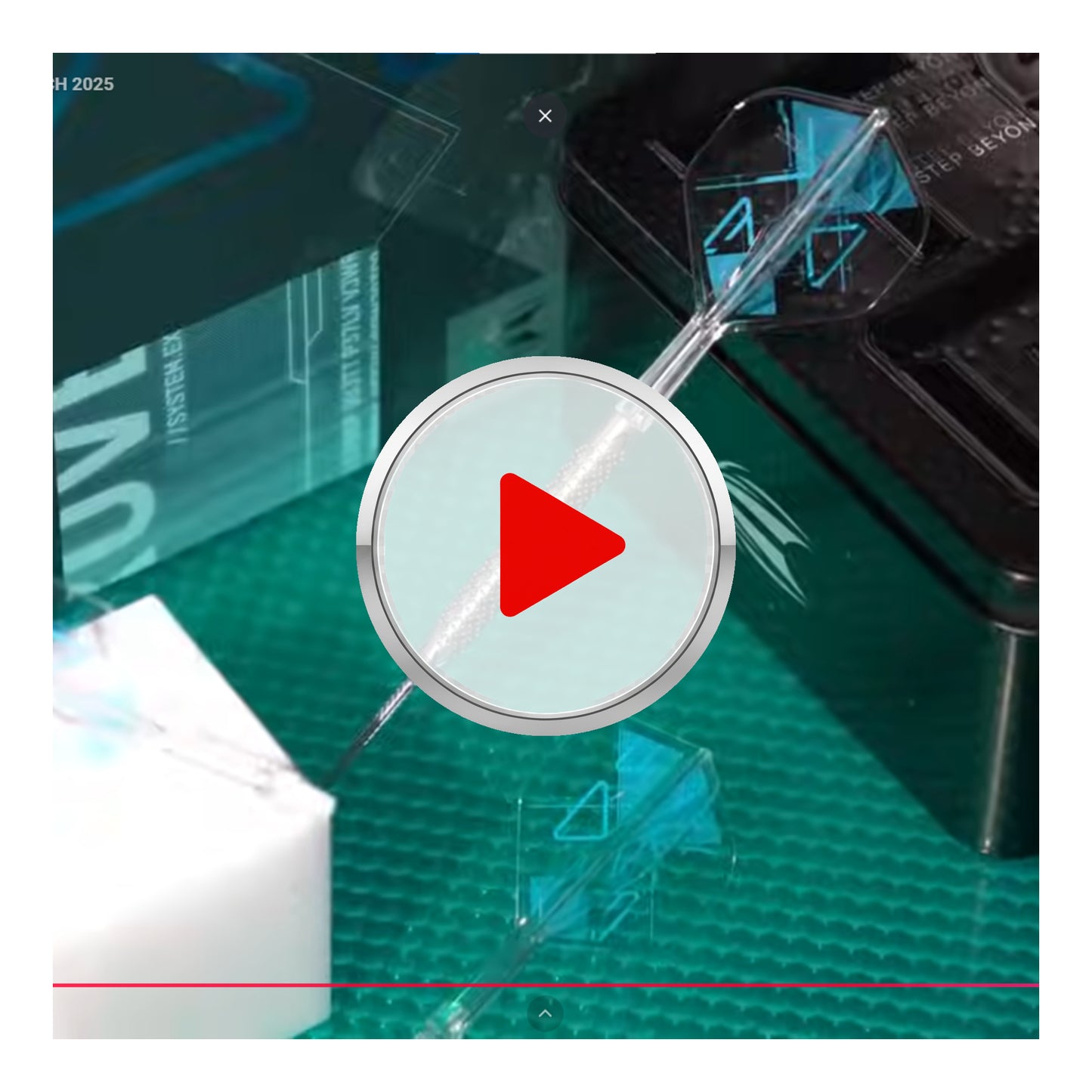 YOUTUBE-VIDEO:wDgd-xFzfI0