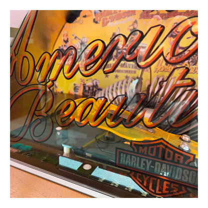 Close-up of a Harley-Davidson motorcycle helmet with 'American Beauty' text and logo.