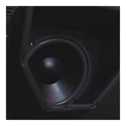 Car subwoofer installed in a vehicle's door panel