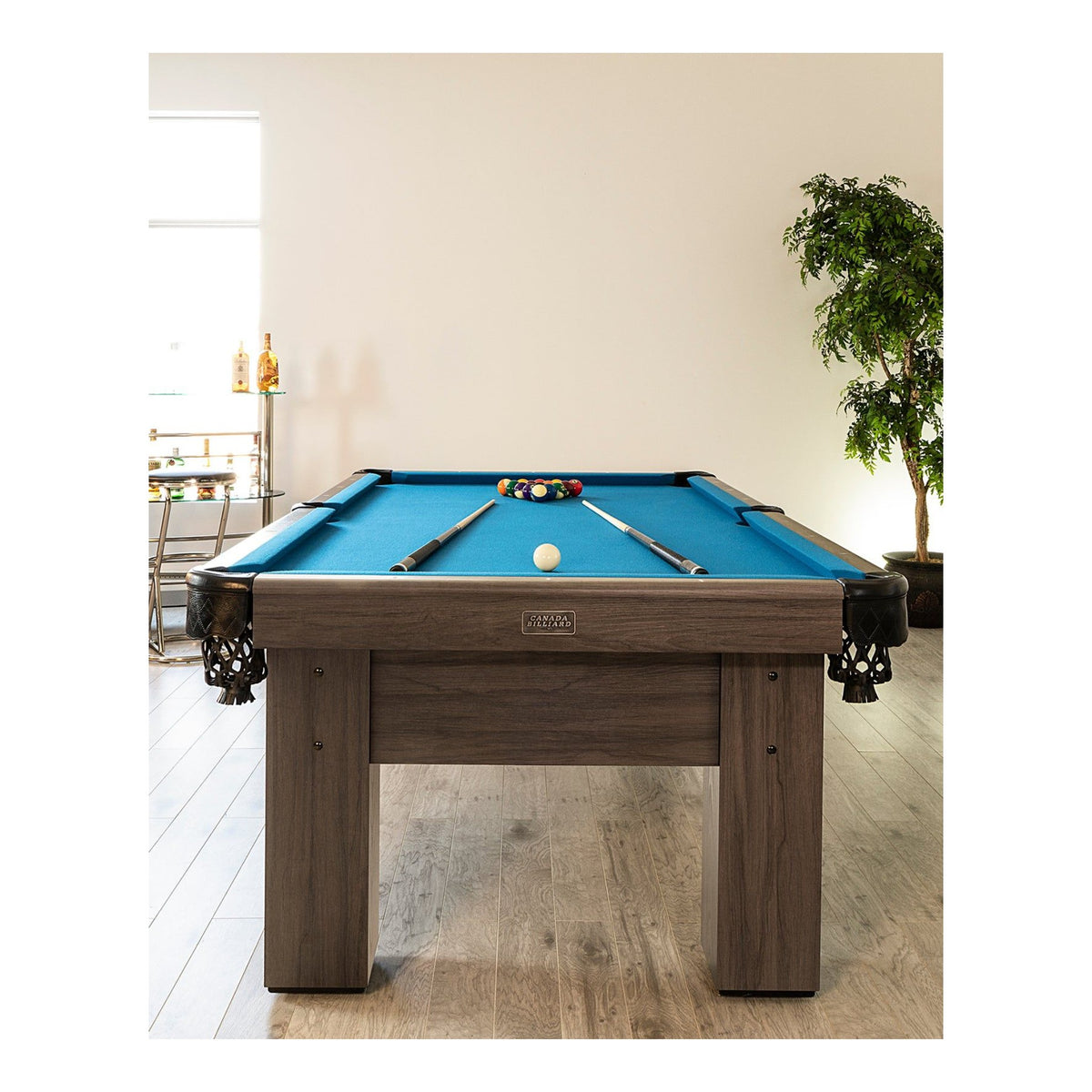 Canada Billiard Special Anniversary Table